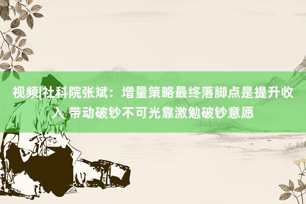 视频|社科院张斌：增量策略最终落脚点是提升收入 带动破钞不可光靠激勉破钞意愿