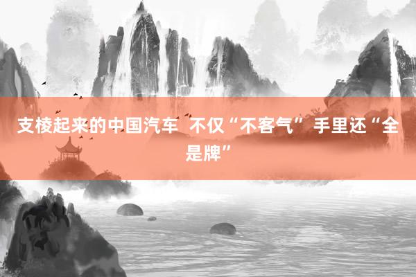 支棱起来的中国汽车  不仅“不客气” 手里还“全是牌”