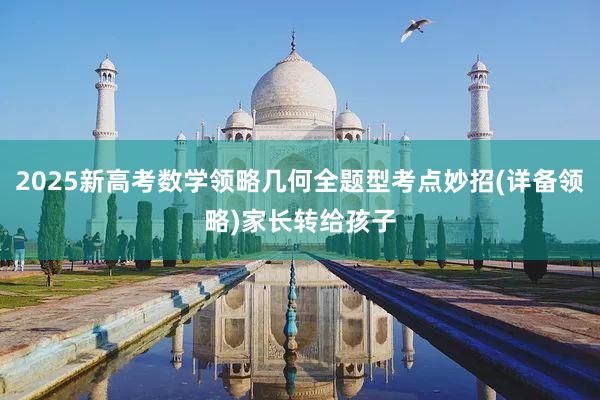 2025新高考数学领略几何全题型考点妙招(详备领略)家长转给孩子